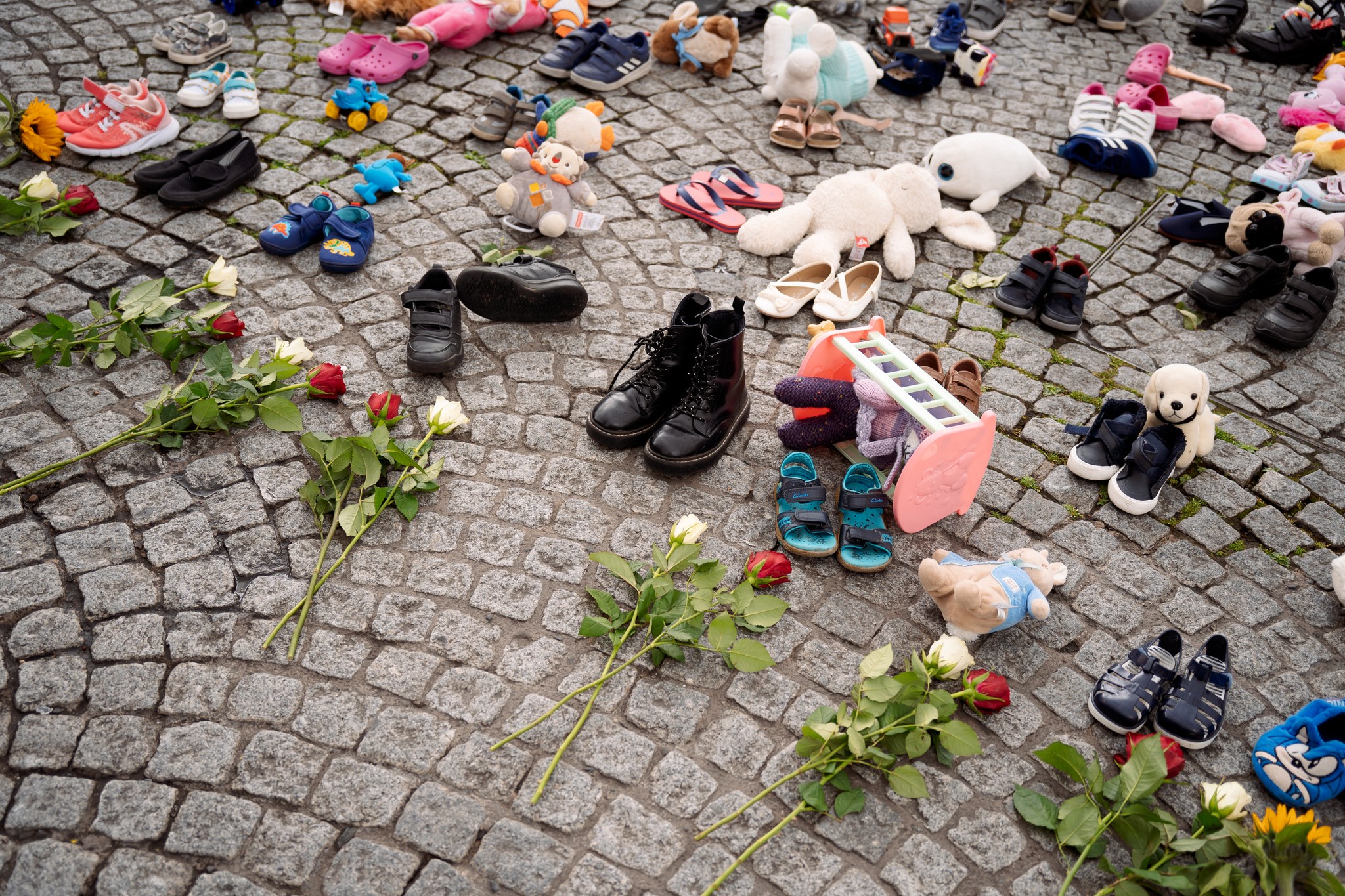 356386086_256026887061011_2554243637691403517_n