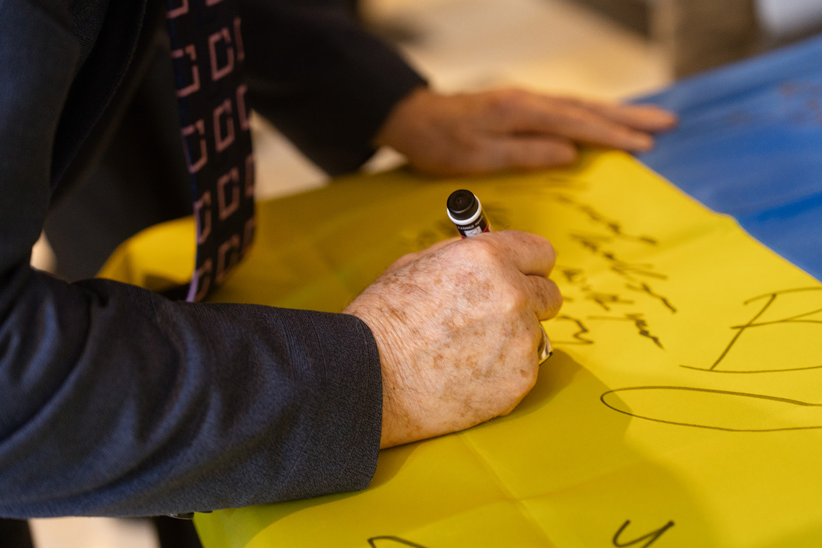 Peaceful Ukranian event